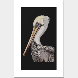 Brown pelican Posters and Art